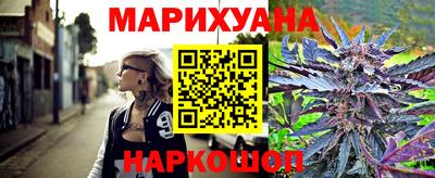 СК Новозыбков