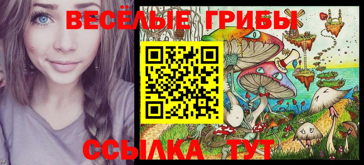 Галлюциногенные грибы Magic Shrooms  дарнет шоп  Подольск  Вход с VPN  Псилоцибиновые грибы MAGIC MUSHROOMS 